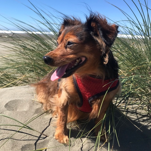 Meet your Posher, Laura - Picture 2 of 3